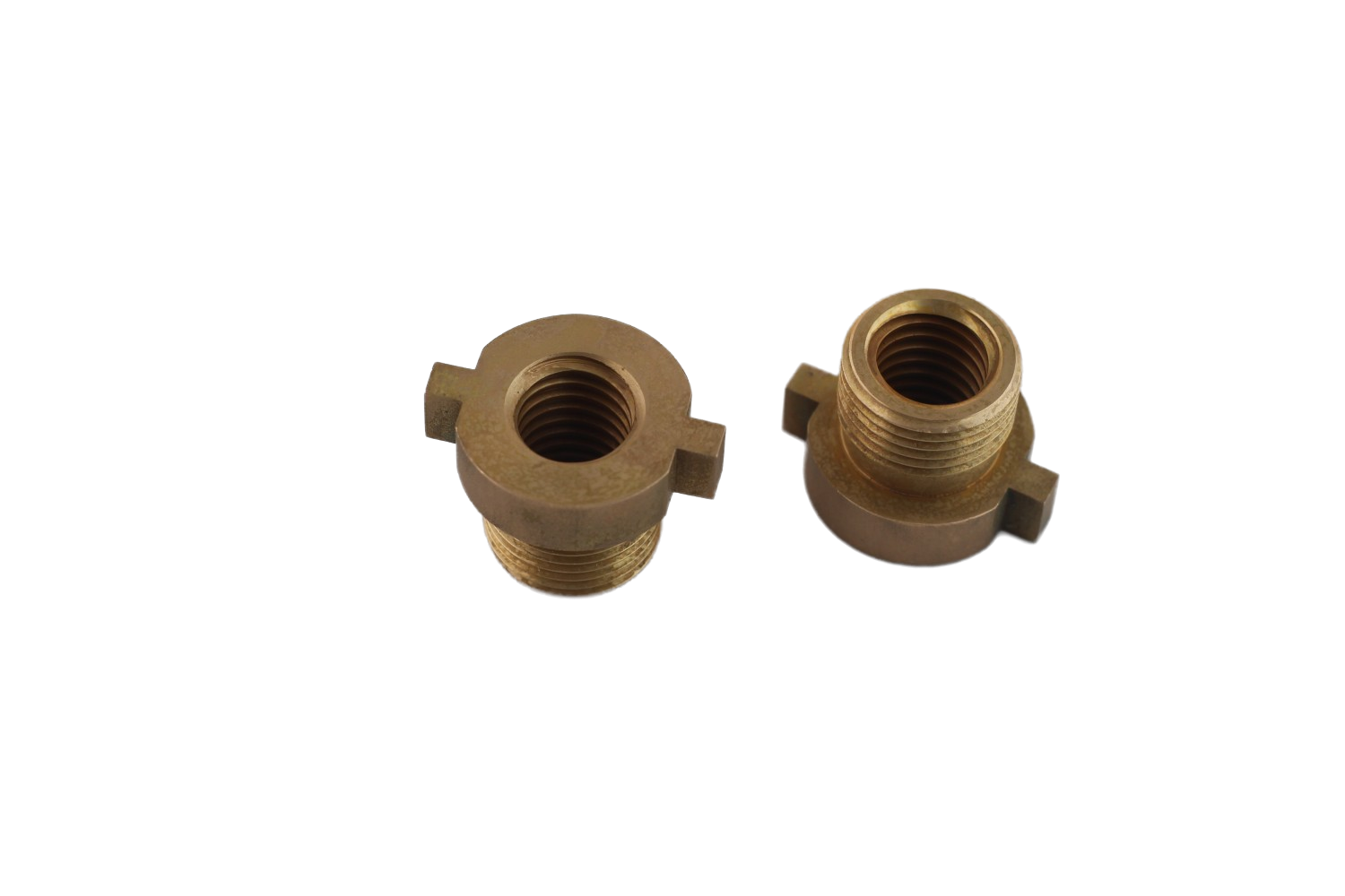 Nuts202601028